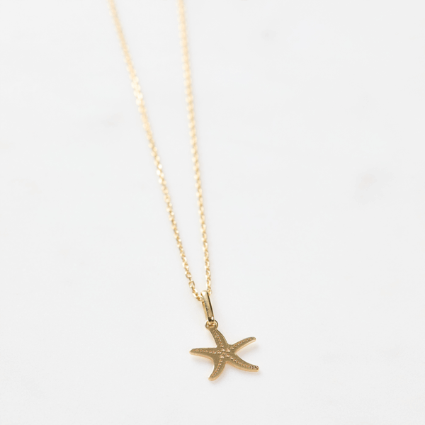 Cadena Prisma 1mm + Dije Estrella de Mar